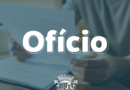 Representantes de organização da Sociedade Civil