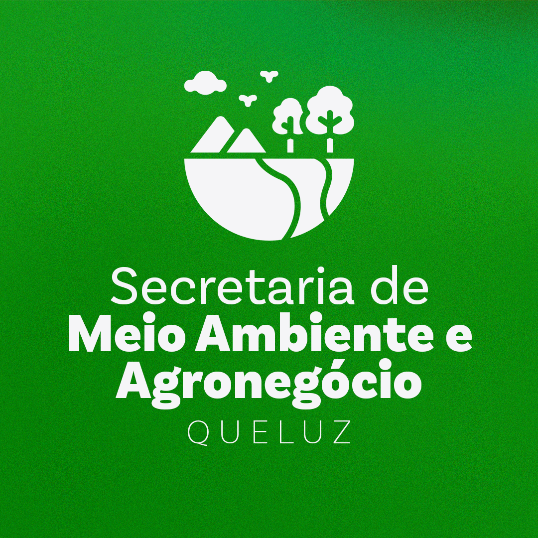 Meio Ambiente
