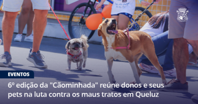 6º edição da “Cãominhada” reúne donos e seus pets na luta contra os maus tratos em Queluz